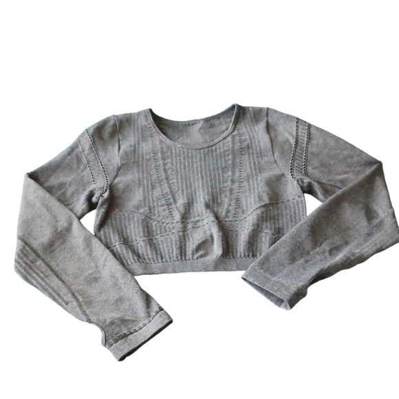 Gray Gym Long Sleeved Croptop - Picture 2 of 3